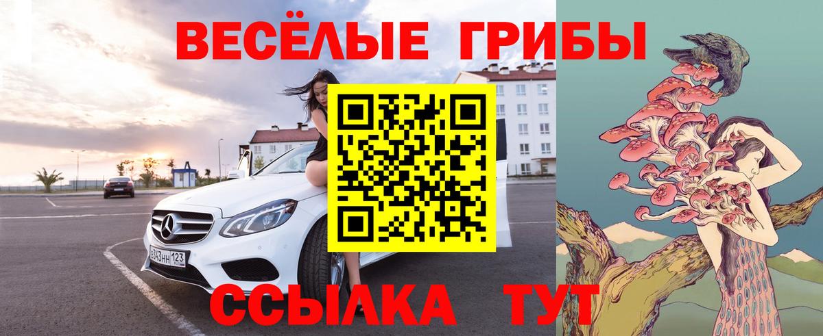 Галлюциногенные грибы MAGIC MUSHROOMS  Псилоцибиновые грибы прущие грибы  Вход с VPN  Мелеуз 